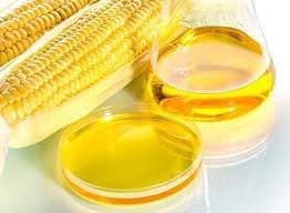 High Oil Corn