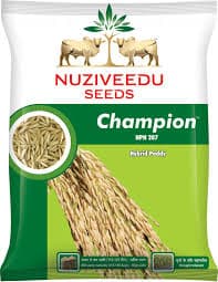 Nuziveedu (Champion)