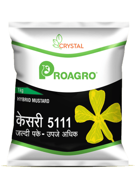 Proagro Mustard 5111