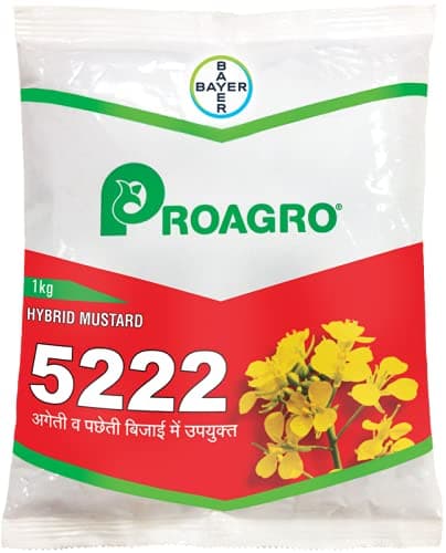 Proagro Mustard 5222