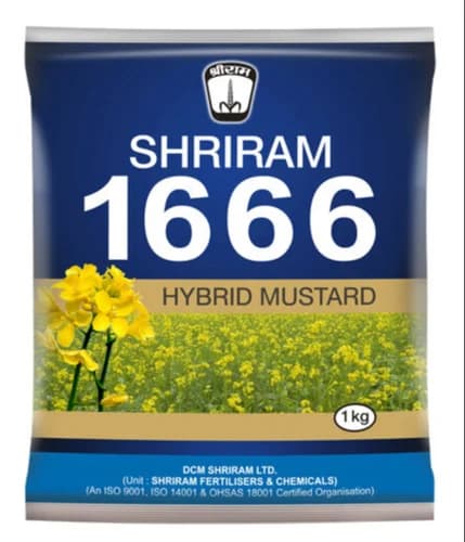 Sriram 1666