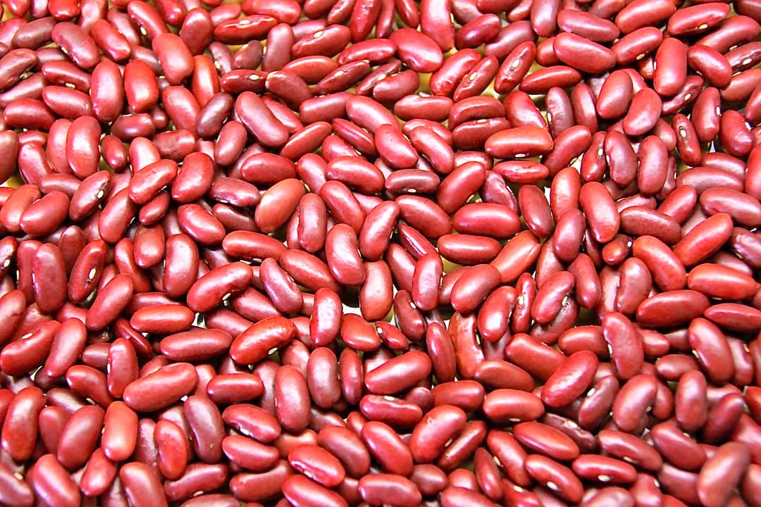 Red Kidney Bean