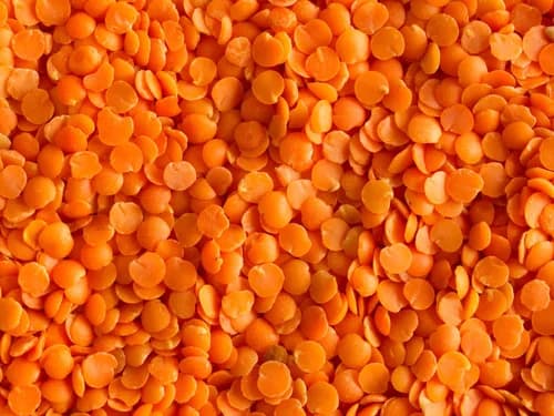 Red Lentil