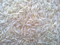 Pusa Basmati 1121